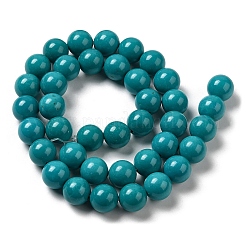 Natural Howlite Beads Strands&nbsp;G-B049-E01-01C