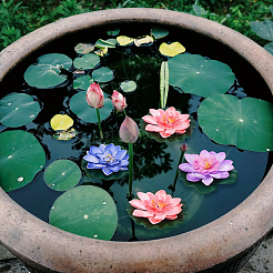 16Pcs 8 Colors EVA Artificial Lotus&nbsp;DIY-FH0010-33