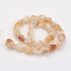 Natural Gemstone Nugget Citrine Bead Strands&nbsp;G-F156-01