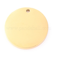 304 Stainless Steel Pendants&nbsp;STAS-O142-72G