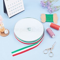 フラットストライプグログランポリエステルリボン  ウェビング衣類縫製アクセサリー  カラフル  25mm&nbsp;EC-WH0003-13-A03