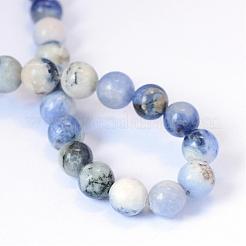 Natural Sodalite Round Bead Strands&nbsp;G-E334-10mm-08