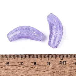 Handmade Lampwork Beads Strands&nbsp;LAMP-N038-06A