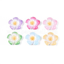 プルメリアの花の不透明樹脂カボション  ミックスカラー  29~30x29~30x7~8mm&nbsp;CRES-T025-30M-01