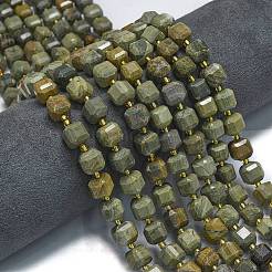 Natural Silver Leaf Jasper Beads Strands&nbsp;G-K389-A70-01