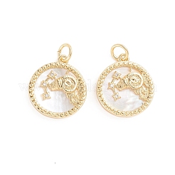 Brass Micro Pave Cubic Zirconia Pendants&nbsp;ZIRC-E164-36F-G