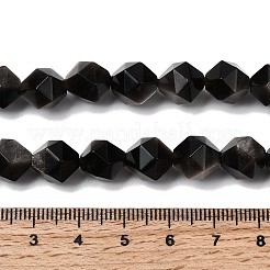 Natural Silver Obsidian Beads Strands&nbsp;G-Z119-A11-03