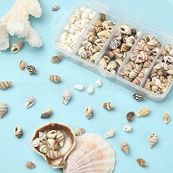 5 スタイル混合天然シェルビーズ  穴がない  混合図形  ミックスカラー  6~20x3~11x3~9mm  54 G /ボックス&nbsp;SSHEL-YW0001-03