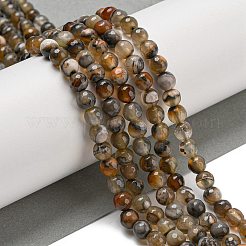 Natural Agate Beads Strands&nbsp;G-M437-B01-02