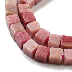 Natural Rhodonite Beads Strands&nbsp;G-C129-A14-01