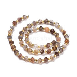 Natural Botswana Agate Beads Strands&nbsp;G-P463-08