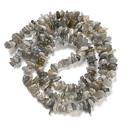天然のラブラドライトさざれ石のビーズ連売り  5~8x5~8mm  穴：1mm  約31.5インチ&nbsp;G-M205-13