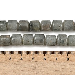 Natural Labradorite Beads Strands&nbsp;G-G275-D10-10x10mm