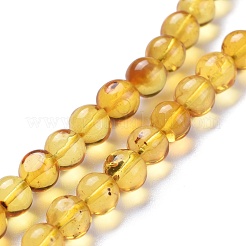 Natural Amber Beads Strands&nbsp;G-K308-C01-6mm