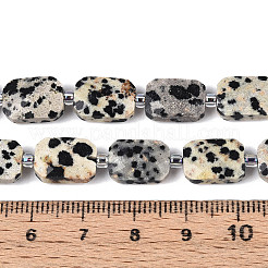 Natural Dalmatian Jasper Beads Strands&nbsp;G-T139-84