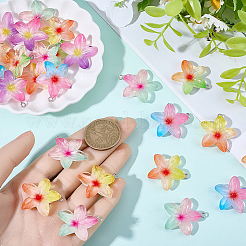 30個のレジンペンダント  花  プラチナ鉄ループ付き  ミックスカラー  29~30.5x27~30x6.5mm  穴：2mm&nbsp;RESI-BM0001-06B