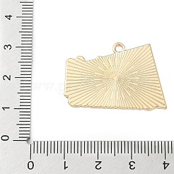 Sports Alloy Enamel Pendants&nbsp;LS-ENAM-I074-01G-03