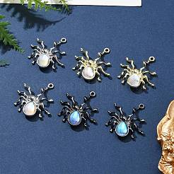 6色ハロウィンラックメッキ合金ペンダント3個。  クモのチャーム  ライラック樹脂ビーズ付き  カドミウムフリー＆鉛フリー  ミックスカラー  30x27x5.8mm  穴：1.6mm  2個/カラー&nbsp;PALLOY-FS0001-03