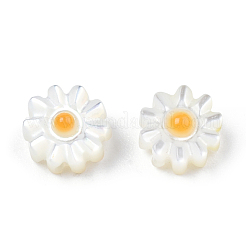 Natural White Shell Enamel Beads&nbsp;SSHEL-N034-124A-01