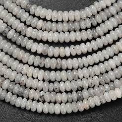 Natural Labradorite Beads Strands&nbsp;G-L635-A05-4x2mm