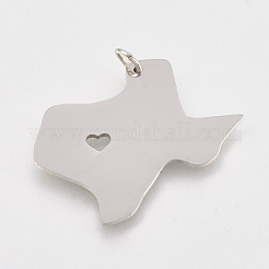 Tarnish Resistant 201 Stainless Steel Pendants&nbsp;STAS-T038-71
