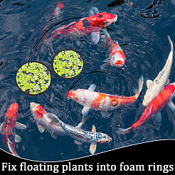 2 Sets EVA Foam Feeding Ring for Fish&nbsp;AJEW-CN0002-52A