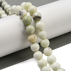 Natural Dendritic Jasper Beads Strands&nbsp;G-E571-A05-03
