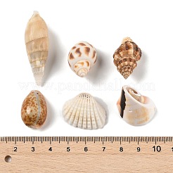 DIY シェルペンダント作りキット  ミックスカラー  10x1mm&nbsp;DIY-FP0001-47