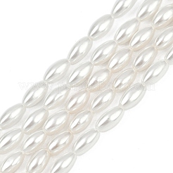 Electroplated Shell Pearl Beads Strands&nbsp;BSHE-Z009-10A