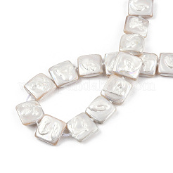 Plating Natural Freshwater Shell Beads Strands&nbsp;SHEL-N026-230A