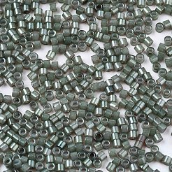 FGB 11/0 Grade A Baking Paint Glass Seed Beads&nbsp;SEED-S030-1149