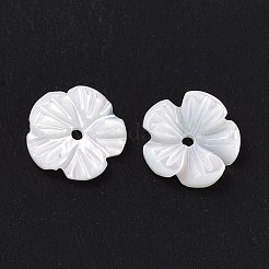 Natural Trochid Shell/Trochus Shell Beads&nbsp;SHEL-P014-02A