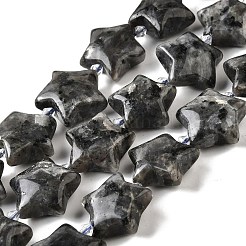 Natural Larvikite Beads Strands&nbsp;G-U023-C01-09
