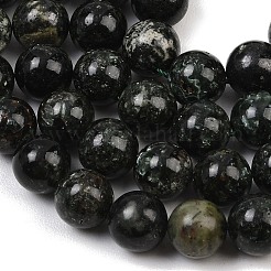 Natural Seraphinite Beads Strands&nbsp;G-H337-A03-05
