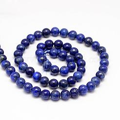 Natural Lapis Lazuli Round Beads Strands&nbsp;G-I181-10-8mm