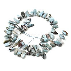 Natural Larimar Beads Strands&nbsp;G-Z091-A09