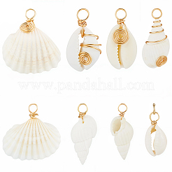 80Pcs 8 Styles Natural Mixed Shell Pendants&nbsp;PALLOY-BM00008