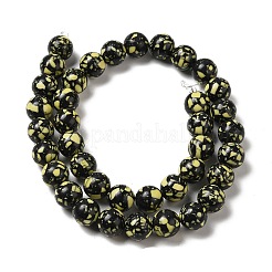 Synthetic Gemstone Dyed Beads Strands&nbsp;G-P507-03B-04