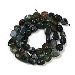 Natural Moss Agate Beads Strands&nbsp;G-Q060-D10