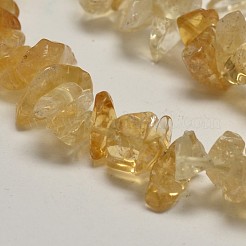 Chip Natural Citrine Beads Strands&nbsp;X-G-N0134-21