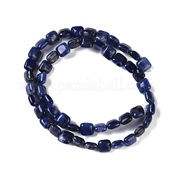 天然石ソーダライトビーズ連売り  正方形  8.5x8.5x5mm  穴：1.6mm  約50個/連  16.34''（41.5センチメートル）&nbsp;G-M435-A07-01