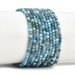 Natural Apatite Beads Strands&nbsp;G-RM250104-A2