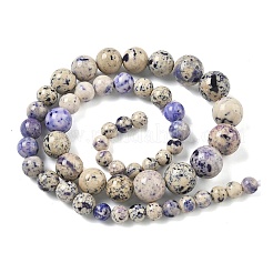 Natural Fossil Graduated Beads Strands&nbsp;G-F830-A03-01D
