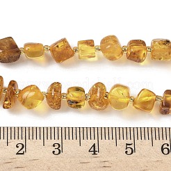 Natural Amber Beads Strands&nbsp;G-L095-E01-07