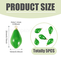 5Pcs Fruit Opaque Resin Pendants&nbsp;RESI-TADJ0001-02D