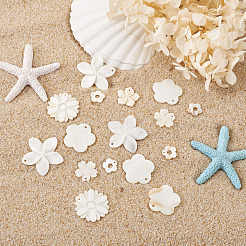 Natural Freshwater Shell Pendants&nbsp;SSHEL-KS0001-01