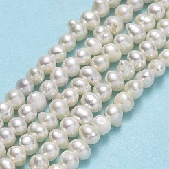 天然養殖淡水パールビーズ連売り  ポテト  ベージュ  2.5~3.5x3~4x3~4mm  穴：0.5mm  約117~133個/連  13.98~15.47インチ（35.5~39.3cm）&nbsp;PEAR-F018-03A