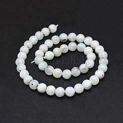 天然レインボー ムーンストーン ビーズ 連売り  ラウンド  8mm  穴：1mm  約48個/連  15.5インチ（39.5cm）&nbsp;G-I249-B04-02