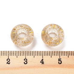 Transparent Acrylic European Beads&nbsp;TACR-P009-A01-03