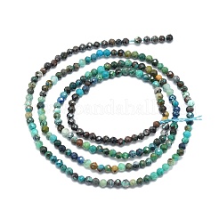 Natural Chrysocolla Beads Strands&nbsp;G-P457-A01-03